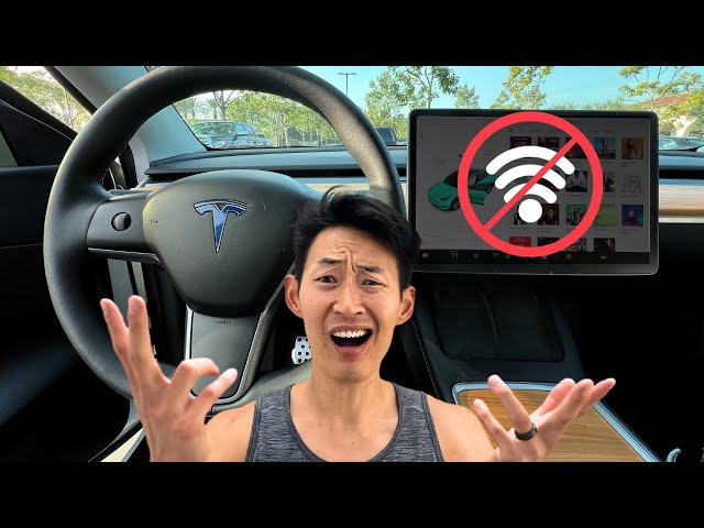 Should You PAY For Tesla Premium Connectivity? (What you DON'T Know!)