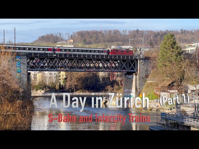 Zürich S-Bahn Trains