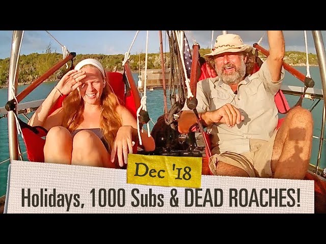Ep. 1.12 1000 Subs, Holidays and DEAD ROACHES! [Adventure Log December 2018]
