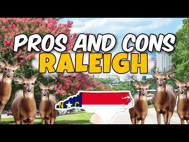 PROS and CONS of Moving to Raleigh NC
