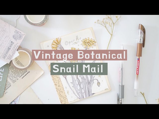 Vintage Botanical Snail Mail Penpal Ideas 🌻🌼🍃