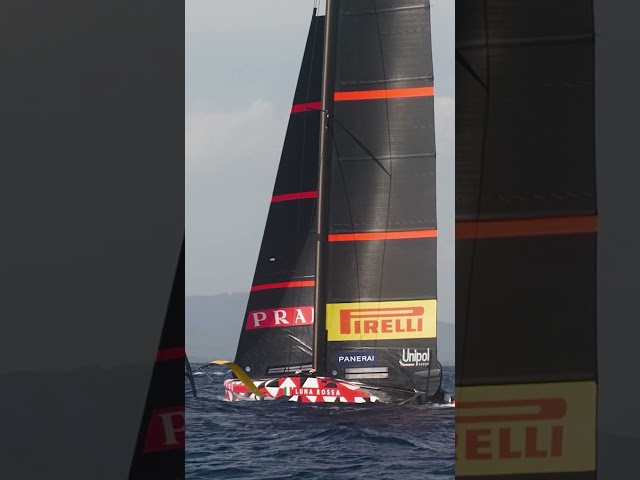 Last Chance Foil Incoming for Luna Rossa #AmericasCup #AC37 #Shorts