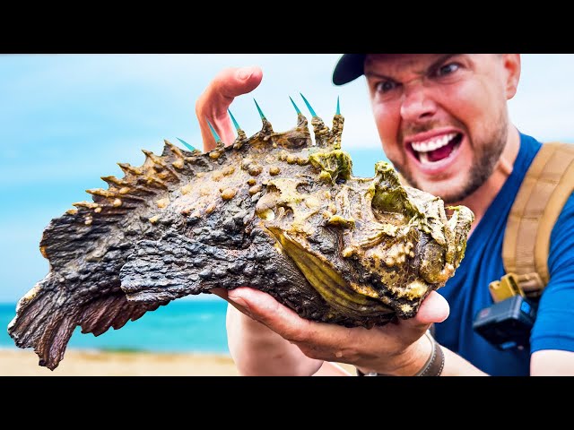STUNG by a Stonefish! (Most Painful Sting on Earth)
