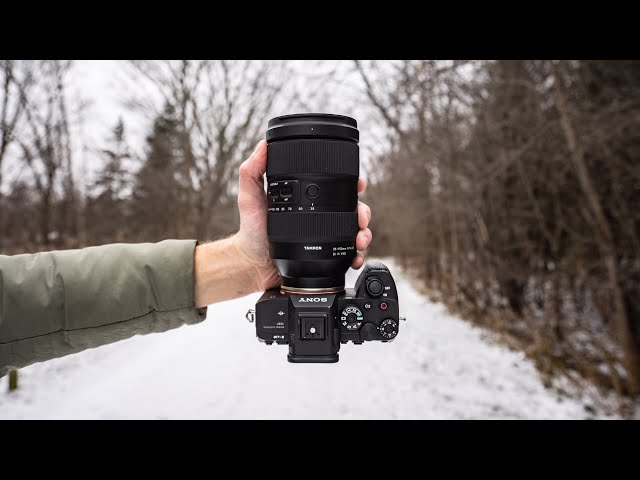 Sony A7SIII Footage (with the Tamron 35-150mm)