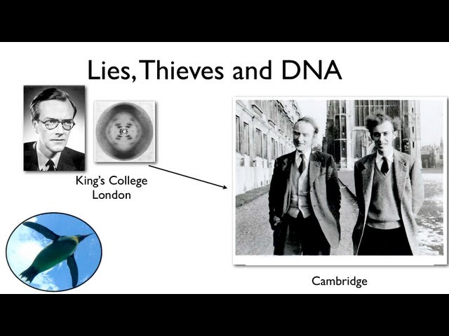 Lies, Thieves and DNA