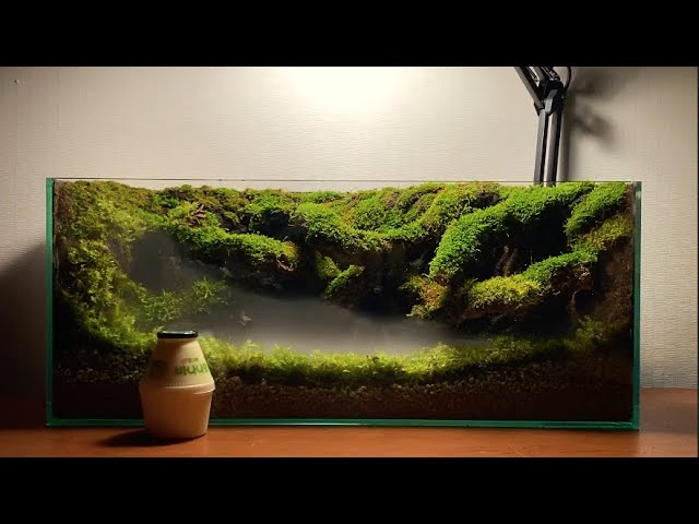 How to make a mist moss forest