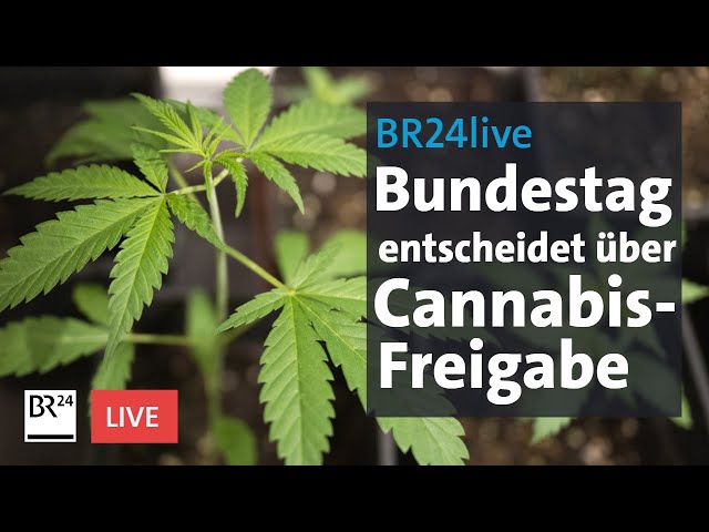 Bundestag entscheidet über Cannabis-Freigabe | BR24live