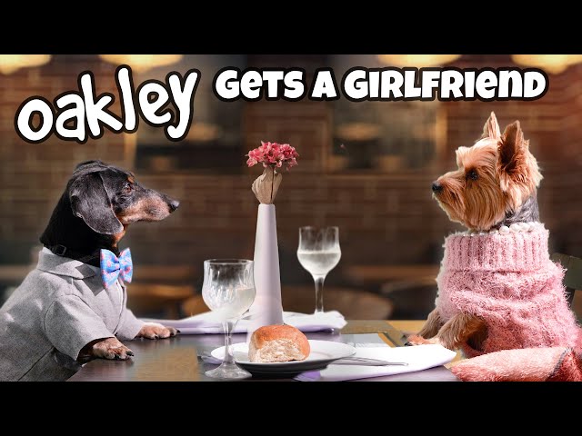 MISSION: DATE NIGHT - Funny Wiener Dog Date!
