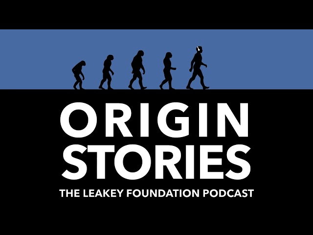 Origin Stories: First Steps at Laetoli