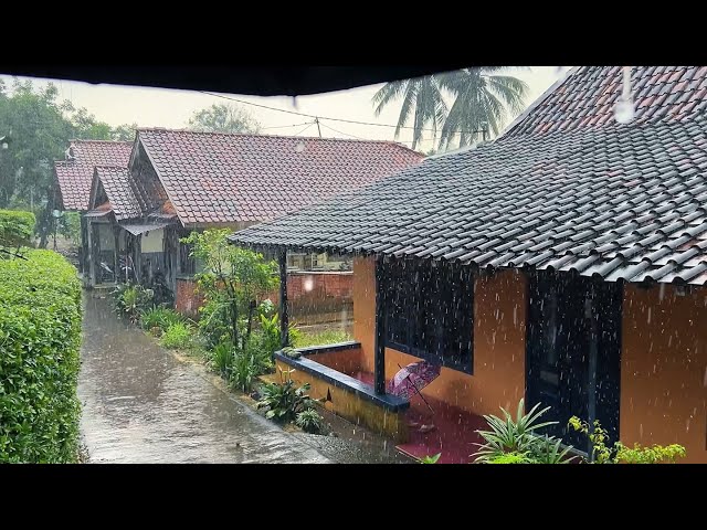 Beautiful rain in beautiful village||very relaxing and cooling||rain video