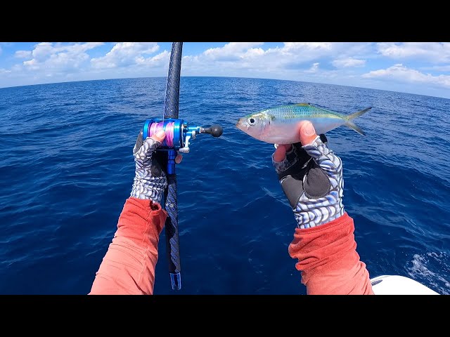 Epic Bite, Fight, and Catch On This Live Bait!!! Sunrise to Sunset Offshore/Inshore Fishing