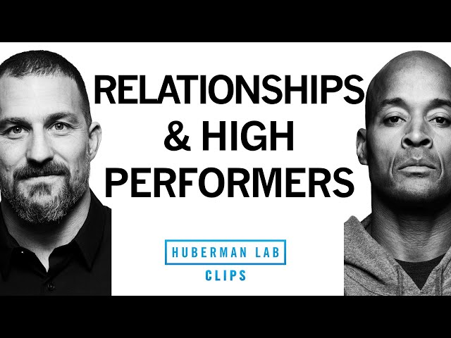 How to Navigate Relationships as a High Performer | David Goggins & Dr. Andrew Huberman