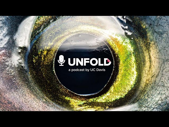 Unfold S.3. Episode 8: The Poet’s Voice