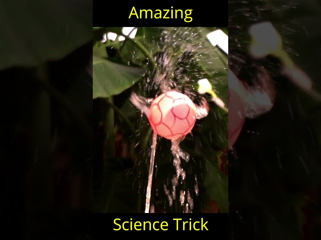 Amazing Science Experiment #shorts