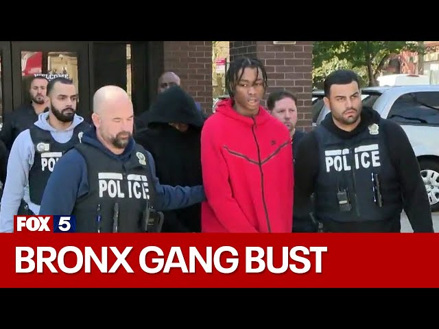 Inside NYPD's Bronx gang bust