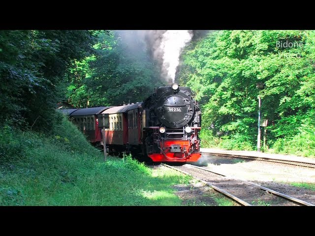 Dampfloks im Harz - HSB - Steam Trains - Züge