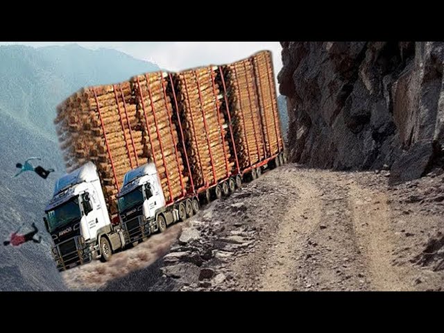Dangerous Idiots Heavy Equipment Logging Wood Truck Operator |Heavy Equipment Machines Working Fails