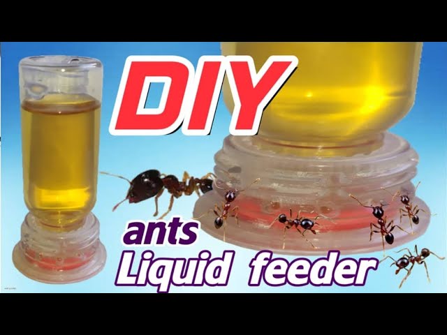 Recycling plastic bottles for a DIY Liquid Feeder | D colony