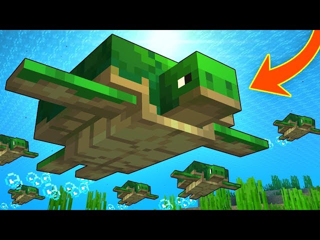 Everything You Need To Know About TURTLES In Minecraft!