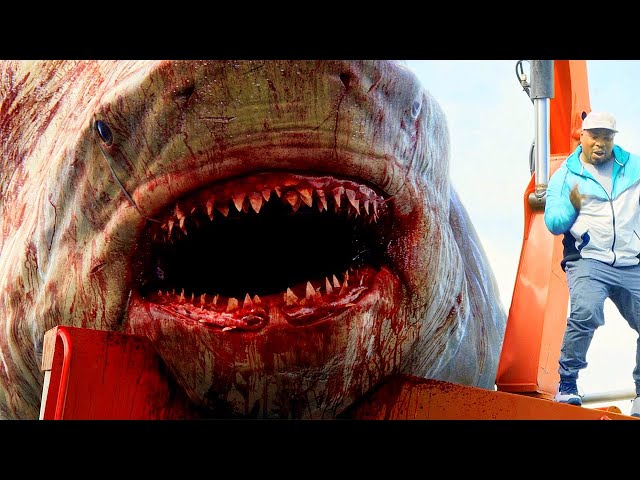 Megalodon Jumps Out Of Water Scene - The Meg (2018) Movie Clip HD