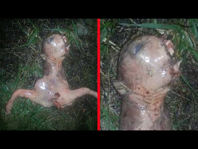 Top 100 Unexplained Alien Encounters That Will Make You Believe