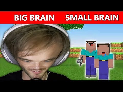 Minecraft Big Brain - Skyblocks #2