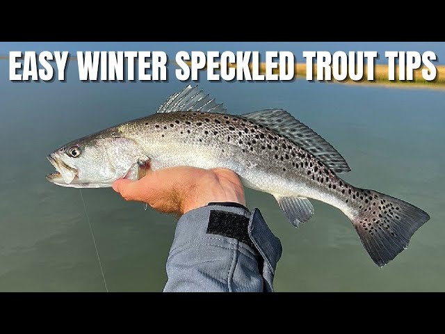 Quickest & Easiest Way To Find Speckled Trout In Winter