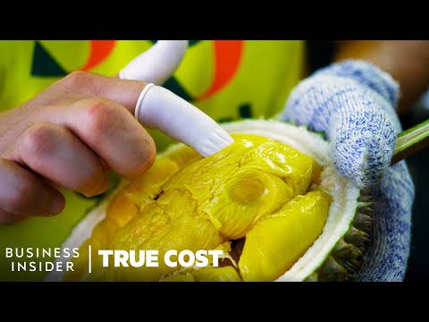 The True Cost Of Durian’s Explosive Growth | True Cost | Business Insider