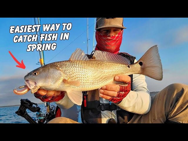 Spring Is In Full Swing: Easiest Way To Find Fish This Springtime