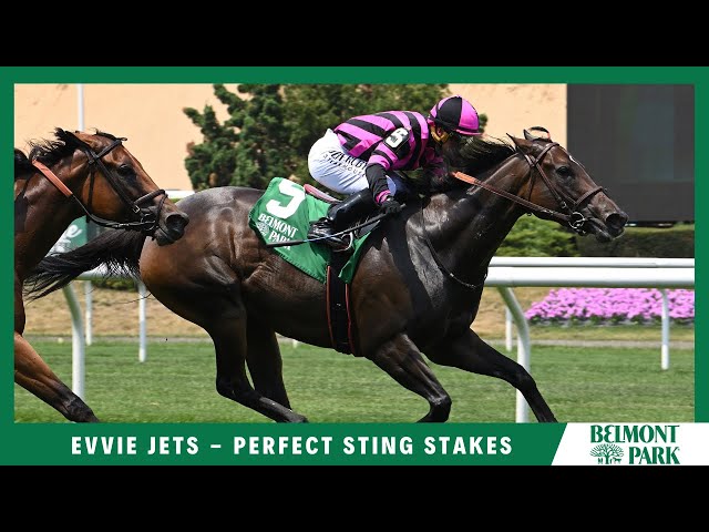 Evvie Jets - 2023 - The Perfect Sting