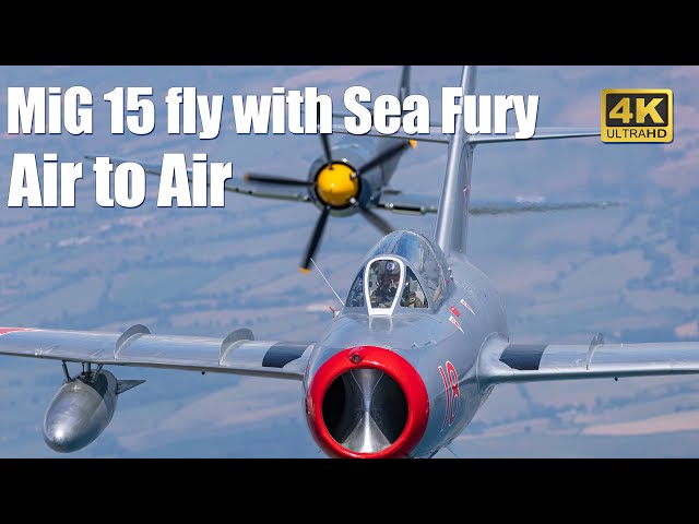 Air to Air MiG 15 fly with Sea Fury