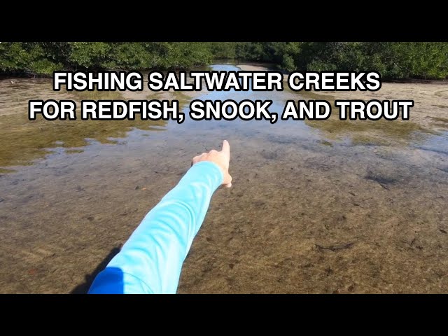 How To Fish Saltwater Creeks In The Winter (Even When Everything Goes Wrong)