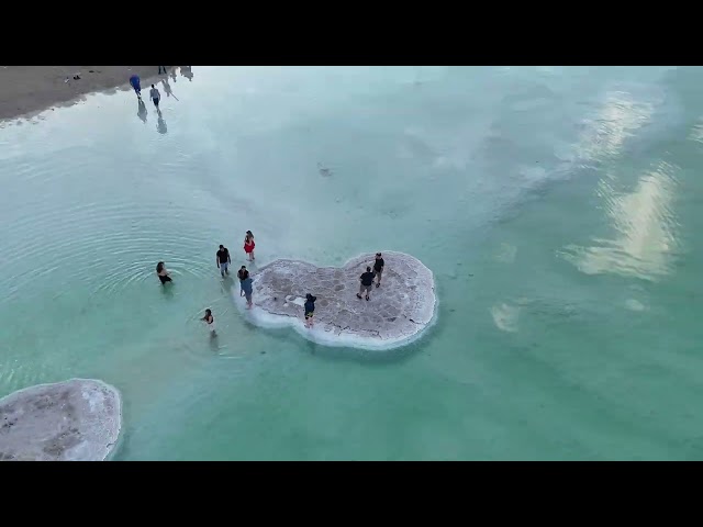 פטריות ים המלח | אתלטניק בשטח