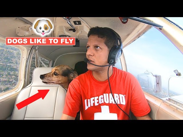 Shortest Flight in the world in a small airplane FXE to PMP flying VFR