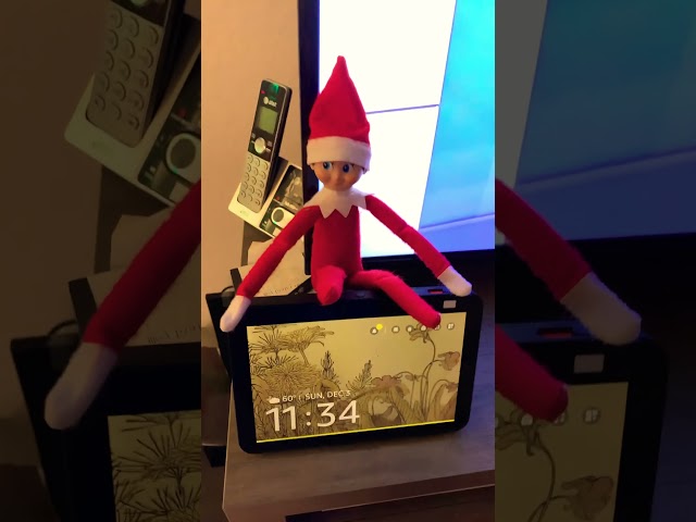 Elf on the shelf day 8! #shorts #christmas #elfontheshelf