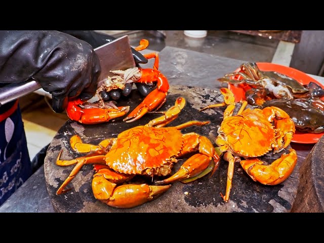 XXL CRAB！Giant Chilli Crab, Braised Honey Crab, Mud Crab / 還沒吃過！芙蓉燒螃蟹, XXL特大辣椒蟹, 沙公 - 海鮮美食
