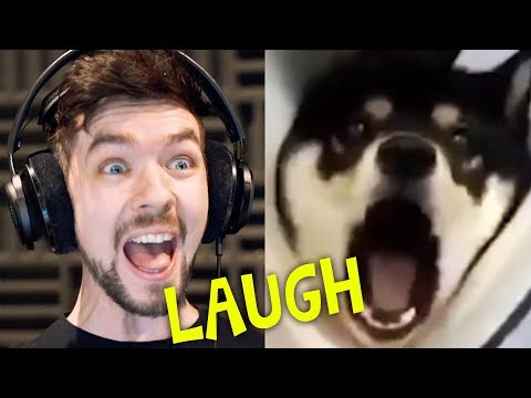 CHILD GETS SCARRED FOR LIFE | Jacksepticeye's Funniest Home Videos