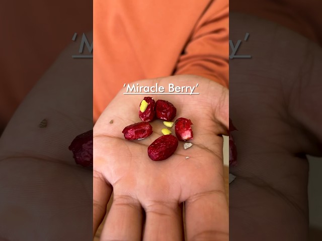 trying Miracle Berry
