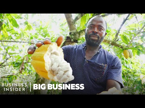 Ghana Grows Our Cocoa, So Why Can’t It Make Chocolate? | Big Business