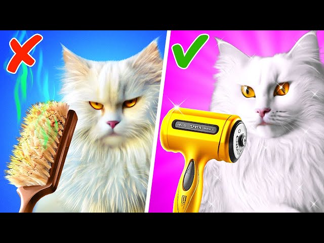 I Saved A Street Cat 😿 *Gadgets and Hacks For Pets and Pets Owner*