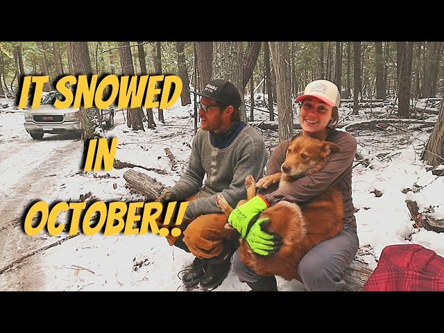 Preparing For Winter Living Off Grid | Protecting Our Property From Wildfire | Cutting Firewood Hack
