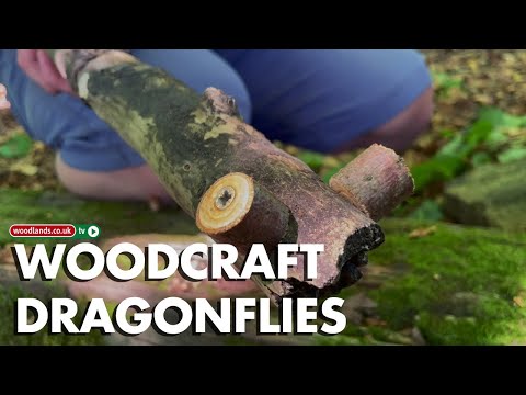 How to Make a Dragonfly Out of Wood