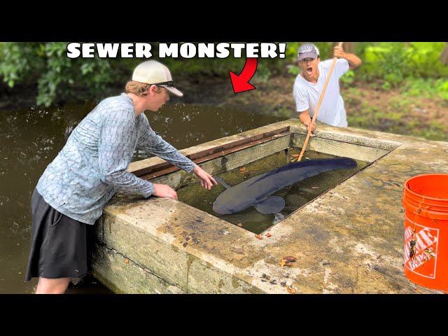 I Finally CAUGHT The SEWER MONSTER!