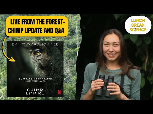 Chimp Empire, Behavior, and Borders ft. Isabelle Clark - Lunch Break Science