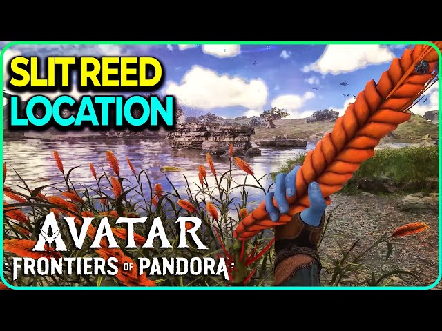 Slit Reed Location Avatar Frontiers of Pandora