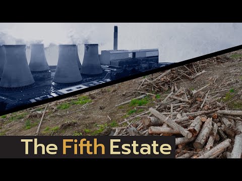 Why wood from B.C. forests is burning to fuel U.K. energy needs - The Fifth Estate