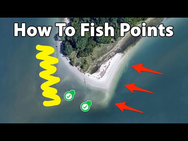 3 Tips For Fishing Points To Catch Redfish, Trout, & Snook