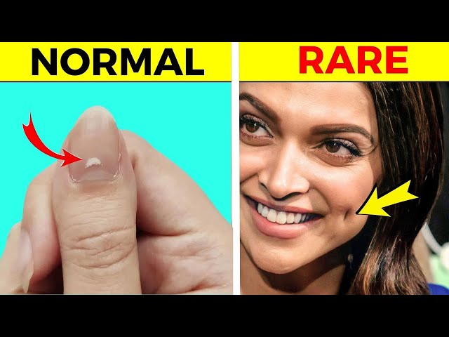 Body Facts That Will Blow Your Mind! | Rewirs