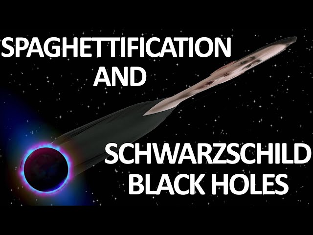 Singularities, Light Cone Distortion, and SPAGHETTIFICATION | Schwarzschild Black Holes