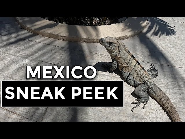 Riviera Maya / Mexico | Sneak Peek